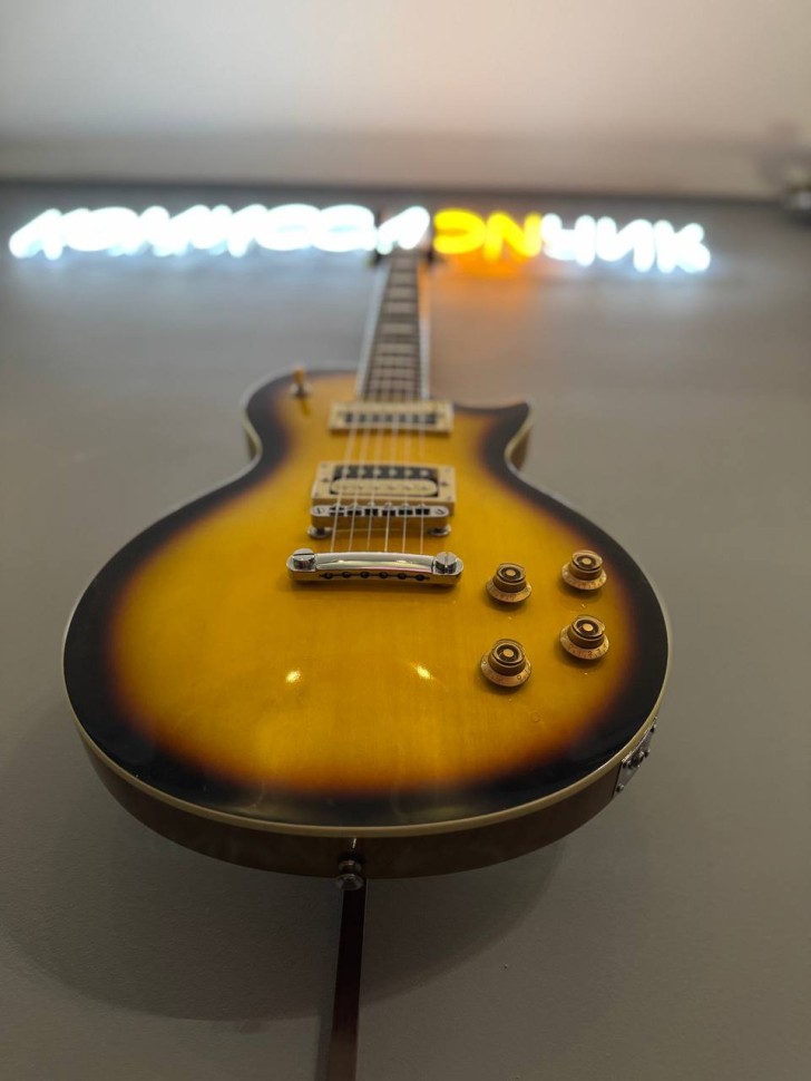 Stagg  Sel-Zeb-2Ts, фото 6