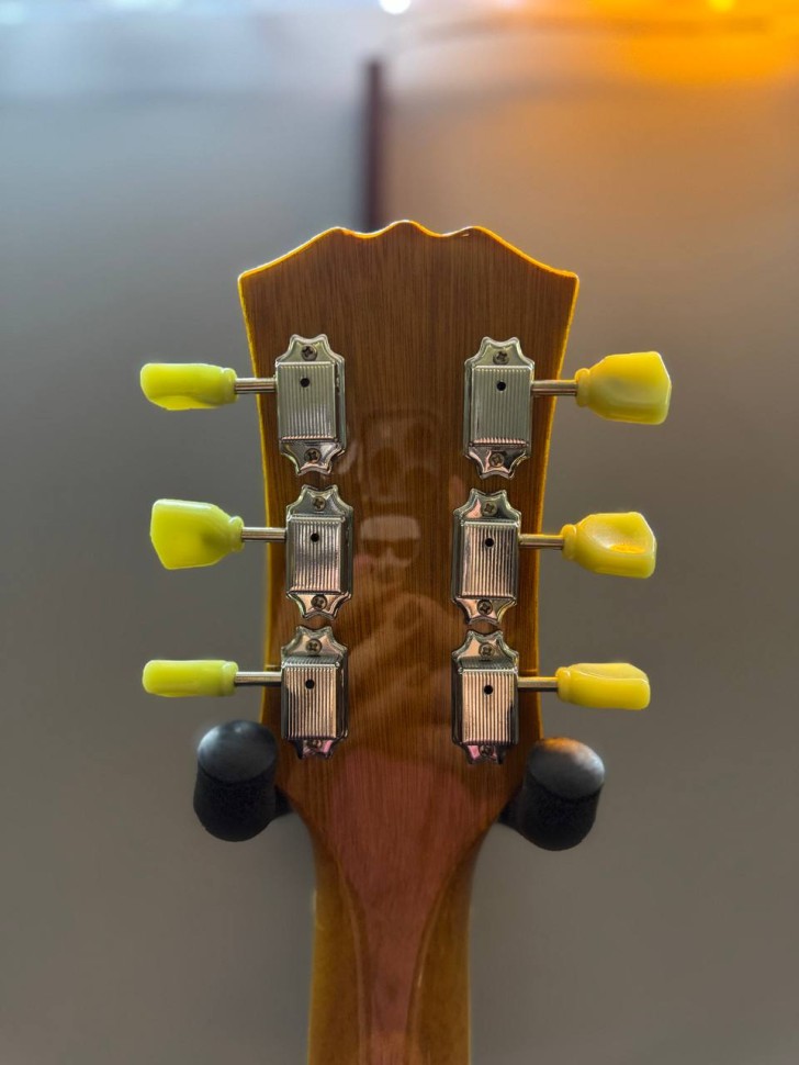 Stagg  Sel-Zeb-2Ts, фото 5