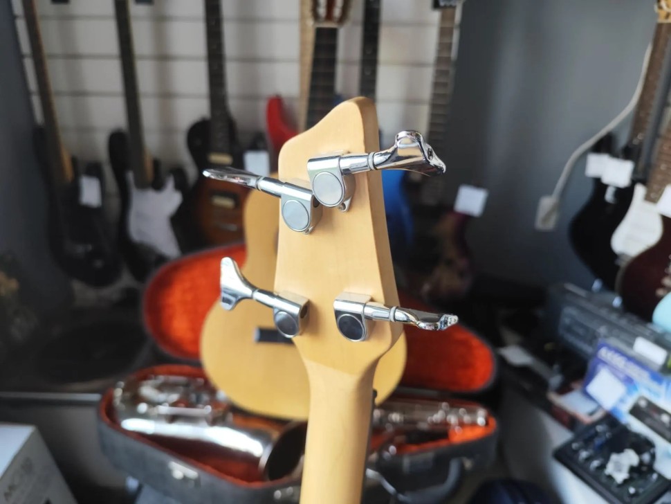 Washburn Xb100, фото 4