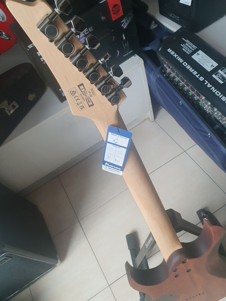 Ibanez Rg-421 Copy, фото 6