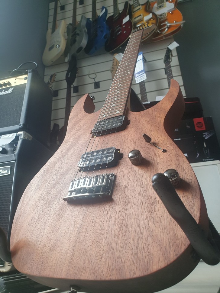 Ibanez Rg-421 Copy, фото 3