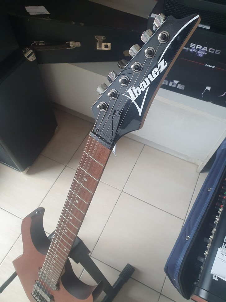 Ibanez Rg-421 Copy, фото 5