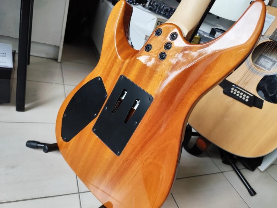 Schecter C-6 Pro Fr Arb, фото 5